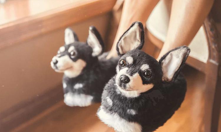 Cuddle Clones Slippers - Custom slippers made to look like your dog or cat - Pet Slippers