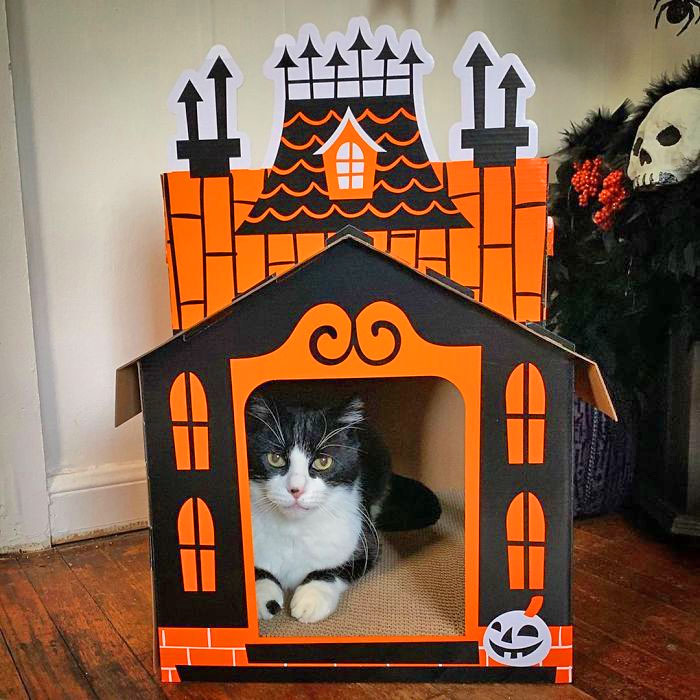 Halloween Cat Mansion