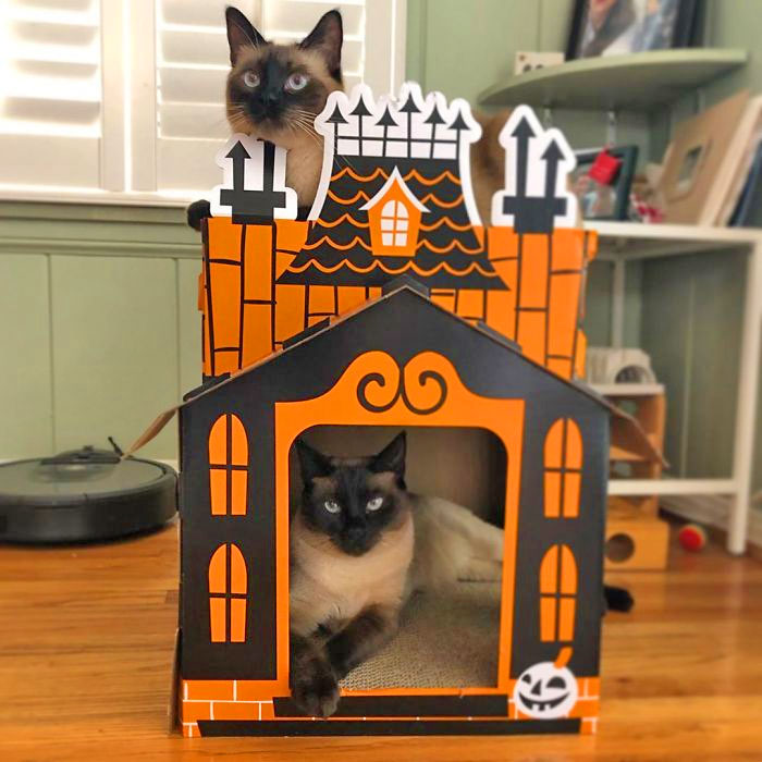 Halloween Cat Mansion
