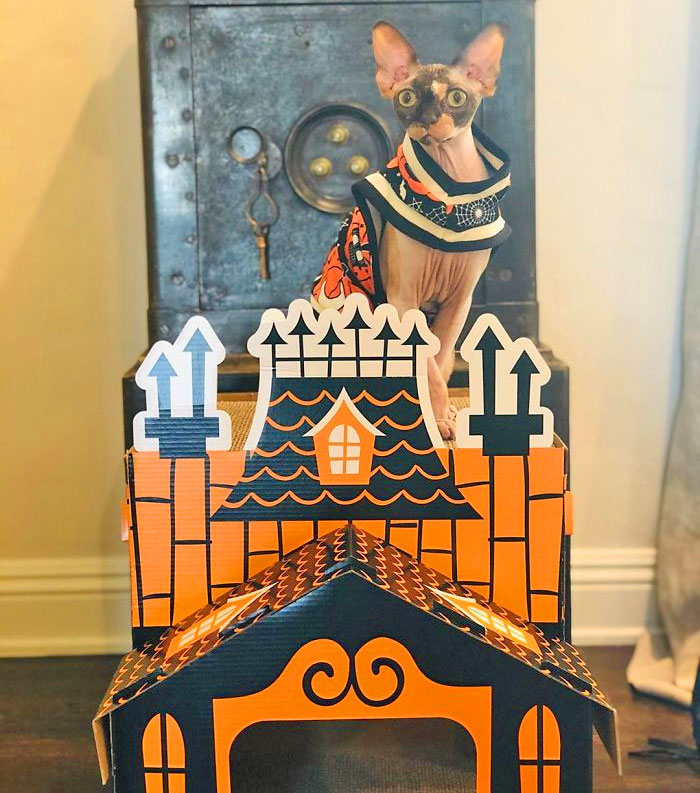 Halloween Cat Mansion