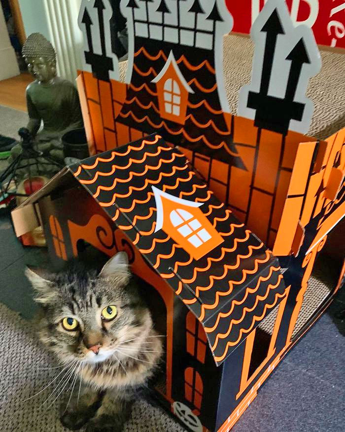 Halloween Cat Mansion