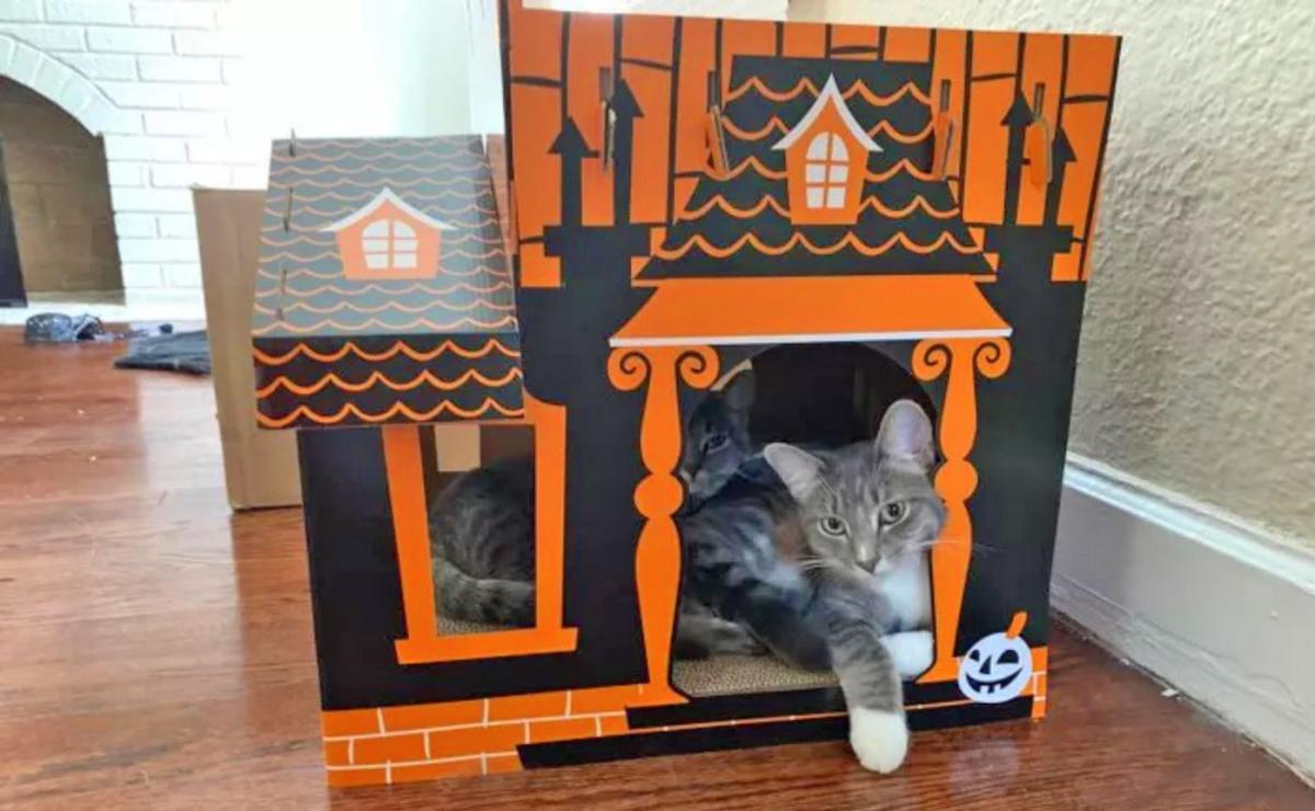 Halloween Cat Mansion