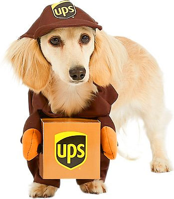 UPS Dog Costume