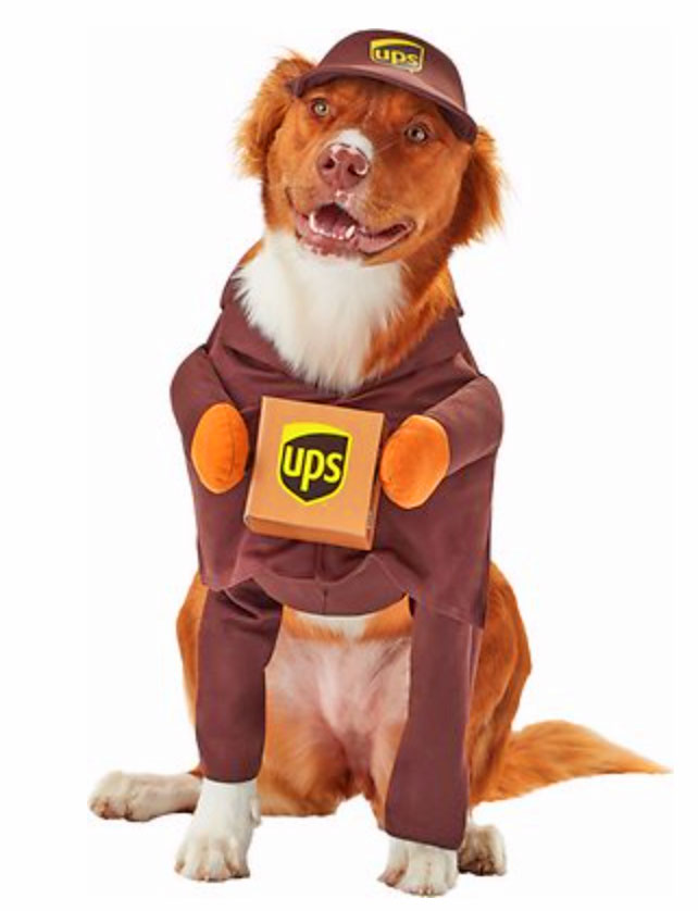 UPS Dog Costume
