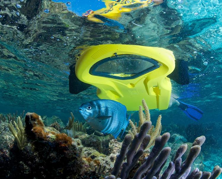 Reefboard - Underwater Window flotation device - see underwater without submerging your head in water - dry snorkel float window