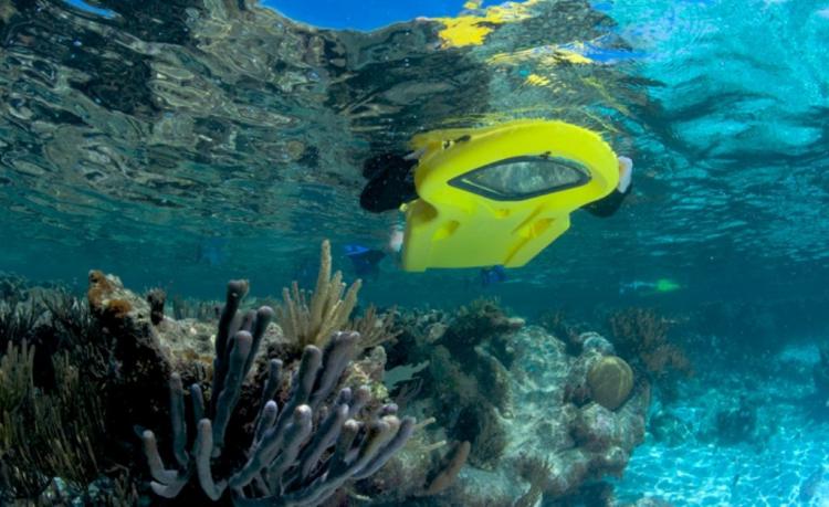 Reefboard - Underwater Window flotation device - see underwater without submerging your head in water - dry snorkel float window