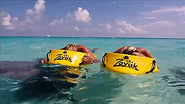 Reefboard - Underwater Window flotation device - see underwater without submerging your head in water - dry snorkel float window