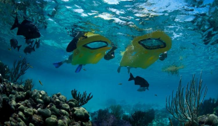Reefboard - Underwater Window flotation device - see underwater without submerging your head in water - dry snorkel float window
