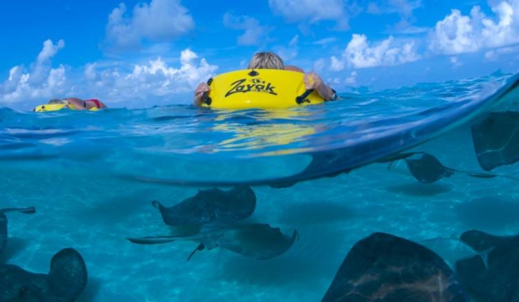 Reefboard - Underwater Window flotation device - see underwater without submerging your head in water - dry snorkel float window