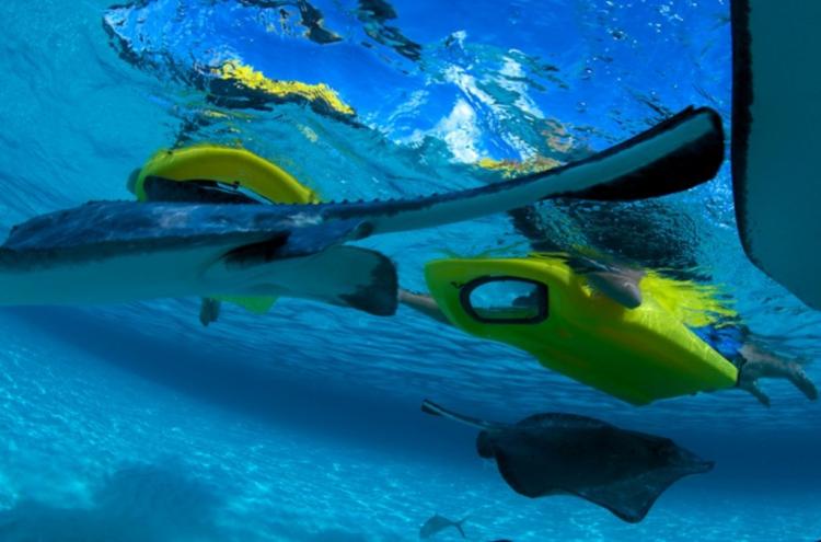 Reefboard - Underwater Window flotation device - see underwater without submerging your head in water - dry snorkel float window