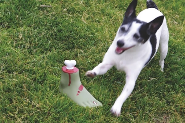 Zombie Foot Dog Toy