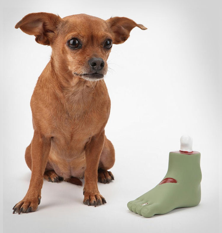 Zombie Foot Dog Toy