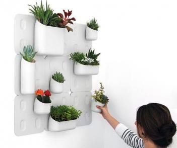 Urban Wall Planters