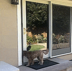 Let Your Dog Out Remotely Through Your Sliding Door With This Genius Gadget