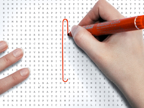 Word Search Gift Wrap